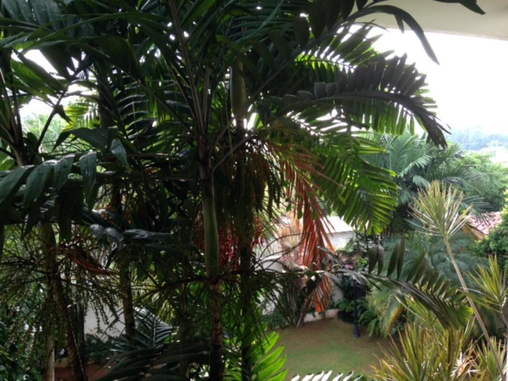 Silvikris Villa Colombo Extérieur photo
