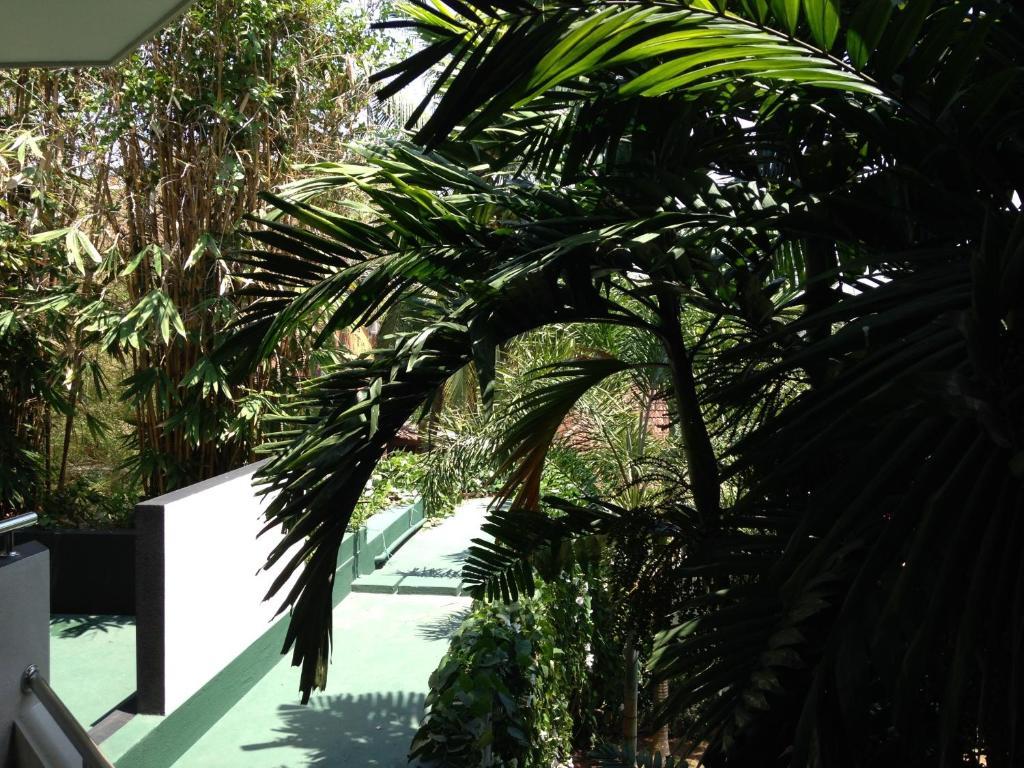 Silvikris Villa Colombo Extérieur photo